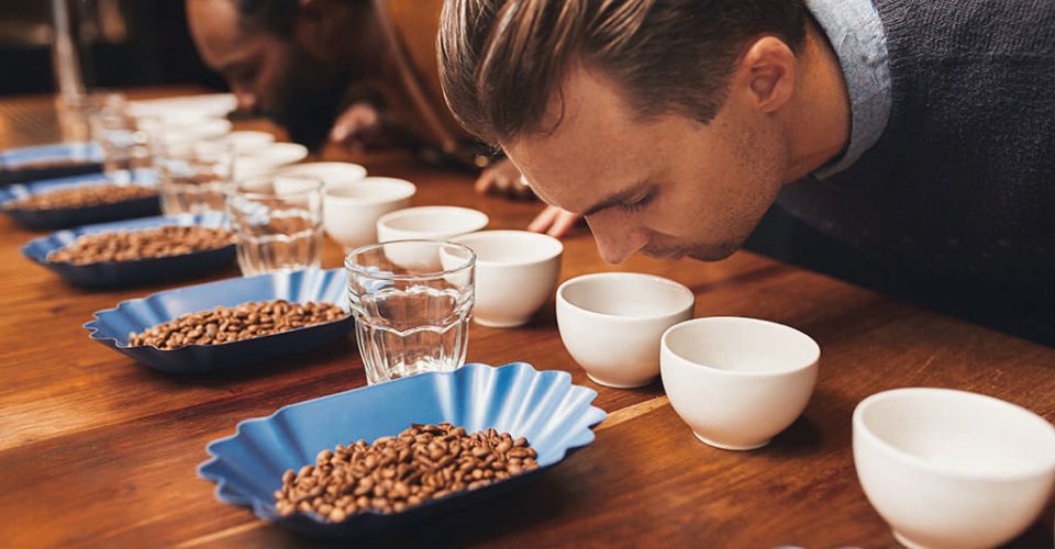 Auteursrecht op smaak en geur - Hoe zit dat? | JPR Advocaten