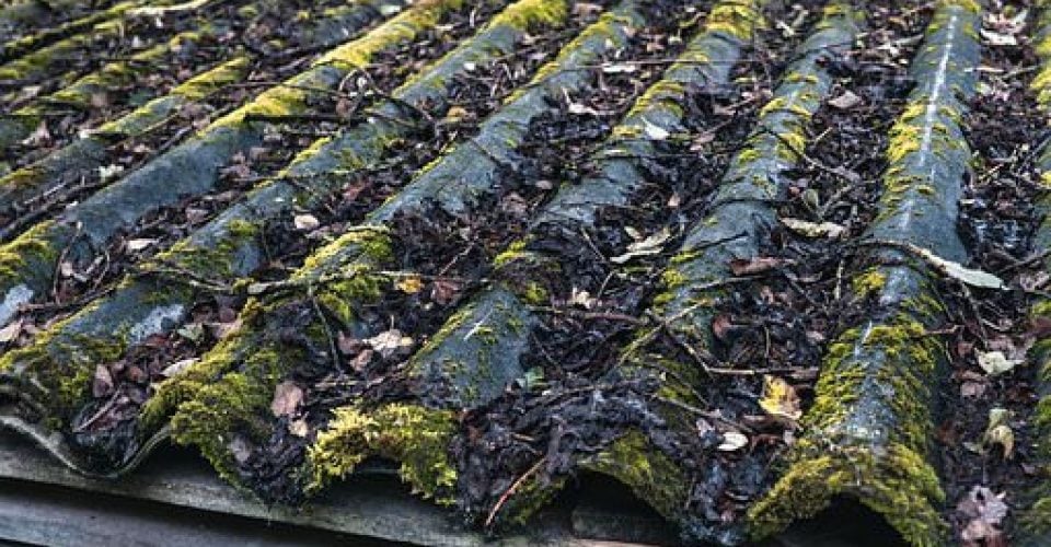 De reikwijdte van de milieuschadeverzekering | JPR Advocaten