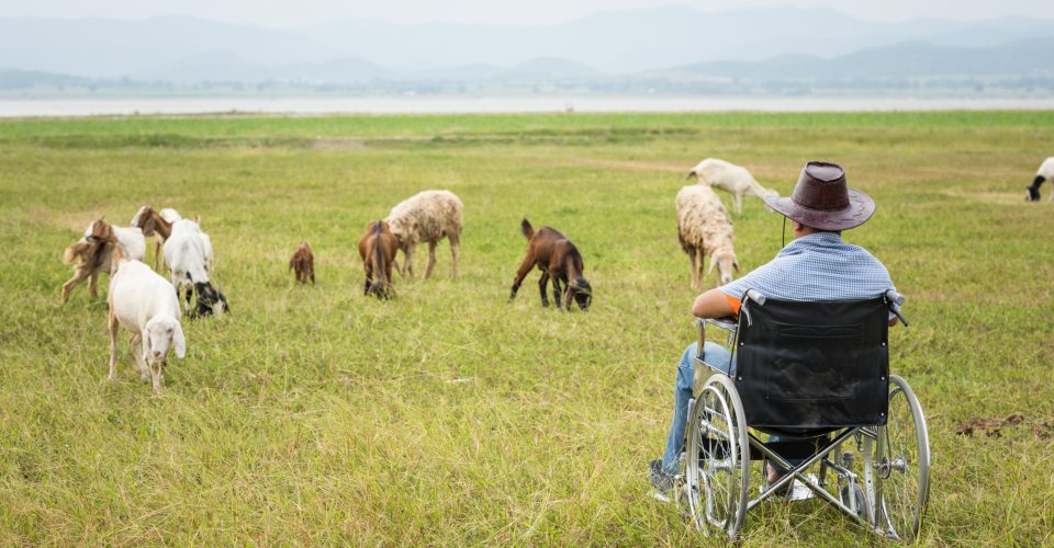Levensvreugde slachtoffer belangrijker dan geld | JPR Advocaten